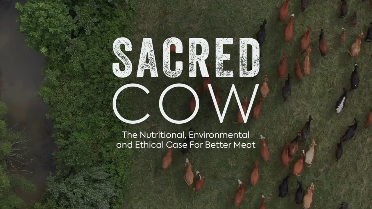 Sacred Cow Trailer_peliplat