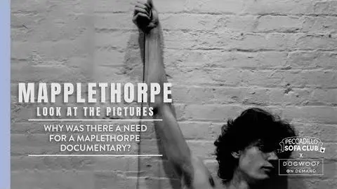 Why a Documentary?_peliplat