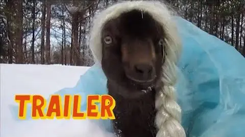 The World's Funniest Animals: Season 3 - Let it Go Trailer (2022)_peliplat