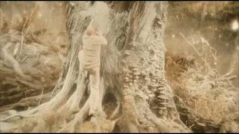 Best Scene In The Fountain Movie - Must Watch_peliplat