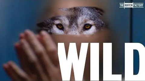 Wild (2016) | Trailer | Lilith Stangenberg | Georg Friedrich | Nelson | Nicolette Krebitz_peliplat