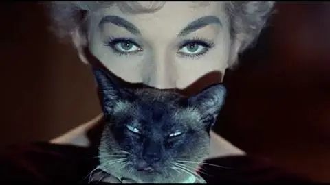 Bell, Book and Candle (1959) - Classic Clip - I'm Allergic To Your Cat - James Stewart - Kim Novak_peliplat