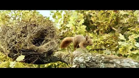 Heart of Oak / Le Chêne (2022) - Trailer (English Subs)_peliplat