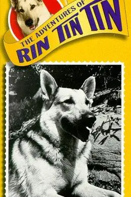 Rin Tin Tin II_peliplat