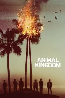 Animal Kingdom_peliplat