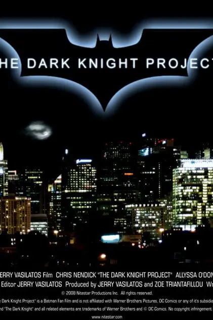 The Dark Knight Project_peliplat