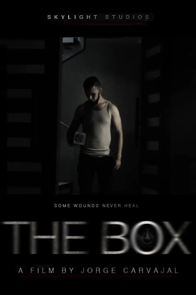 The Box_peliplat