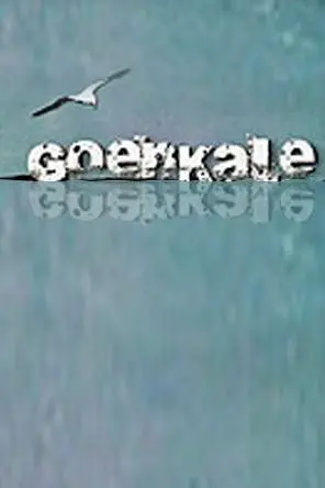 Goenkale_peliplat