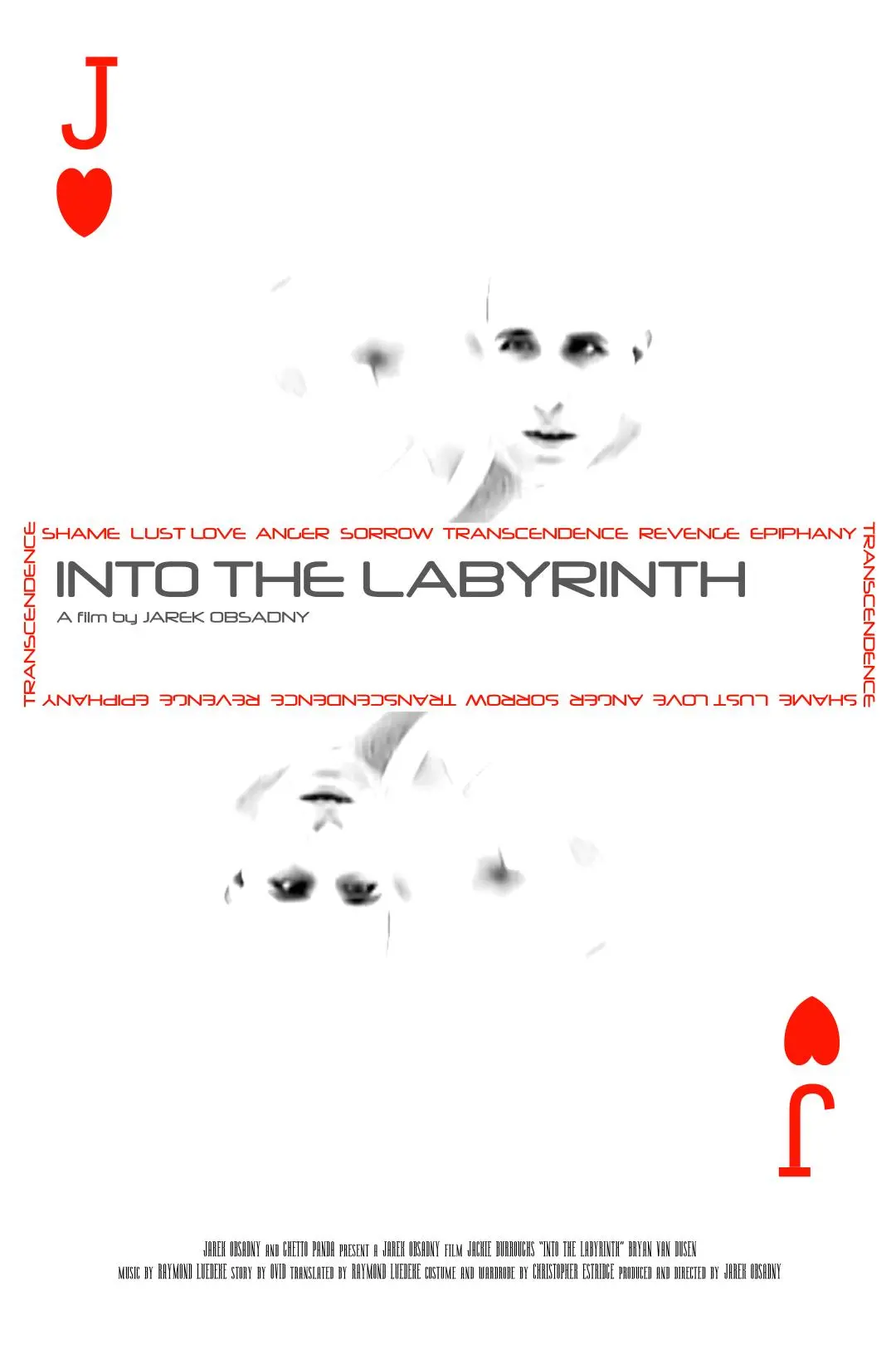 Into the Labyrinth_peliplat