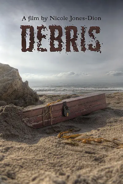 Debris_peliplat