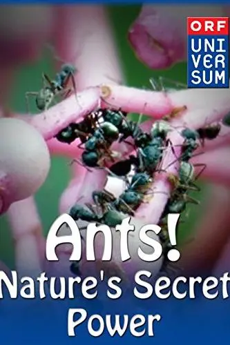 Ants: Nature's Secret Power_peliplat