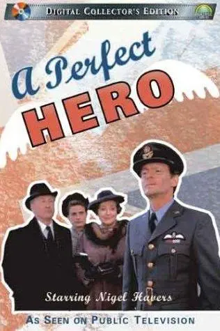 A Perfect Hero_peliplat