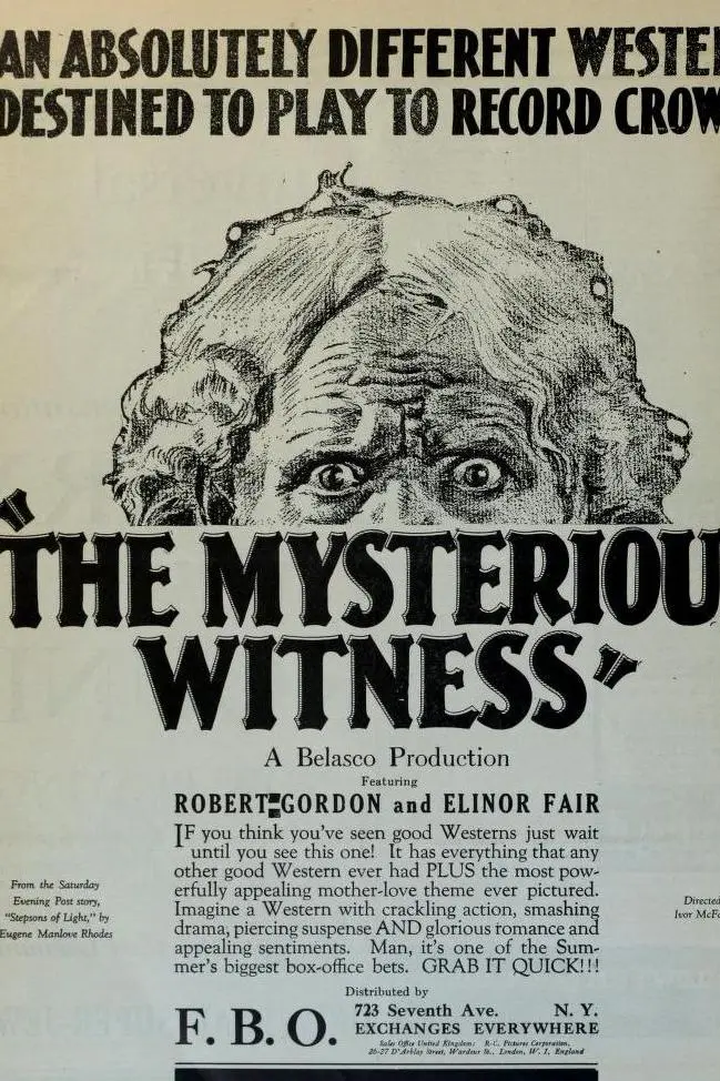 The Mysterious Witness_peliplat