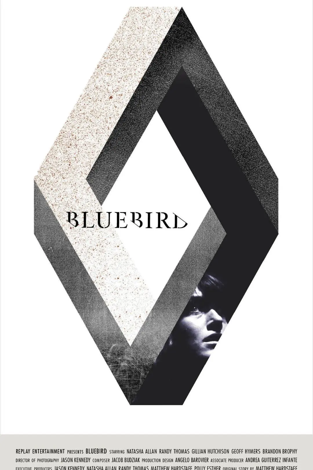 Bluebird_peliplat