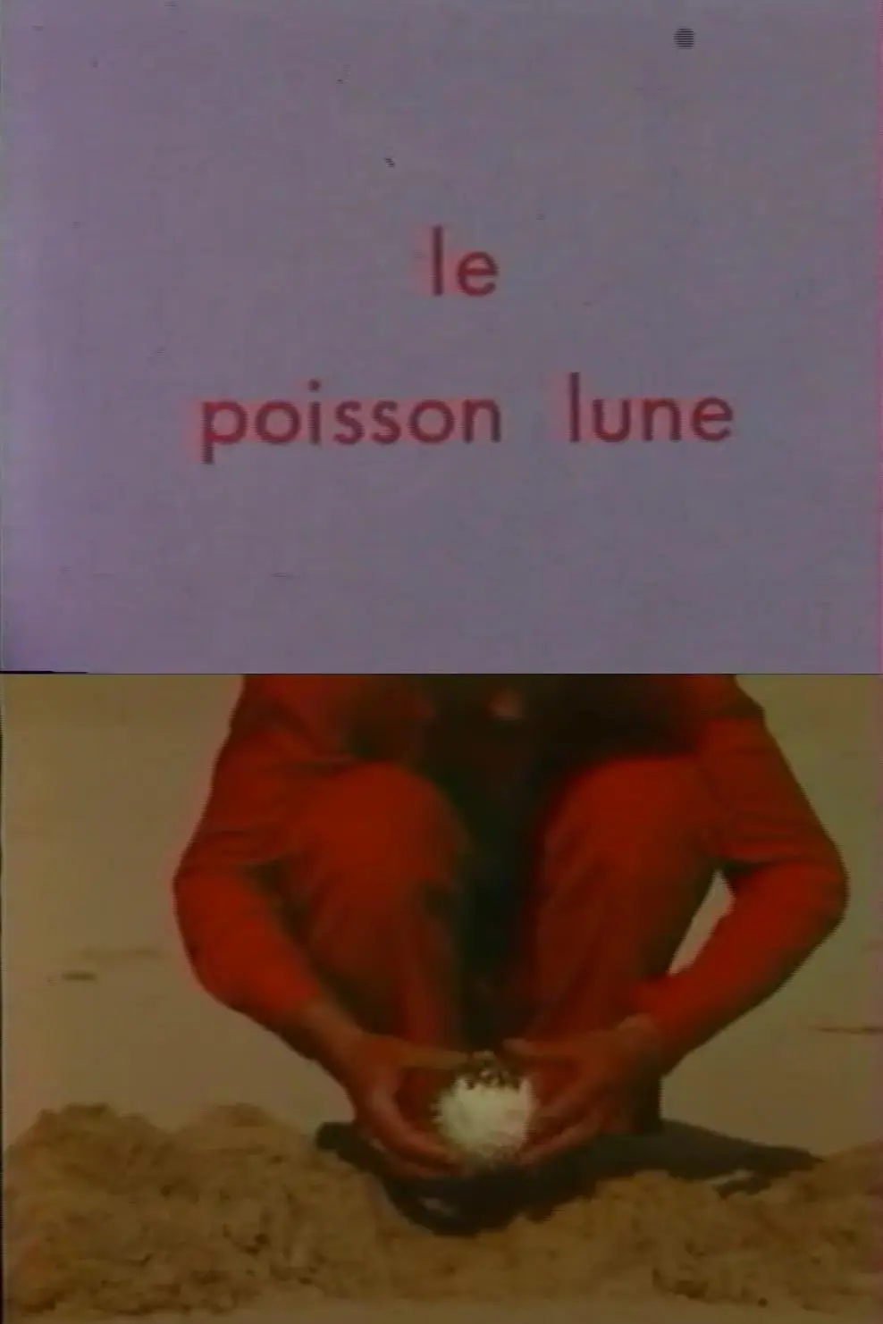 Le poisson lune_peliplat