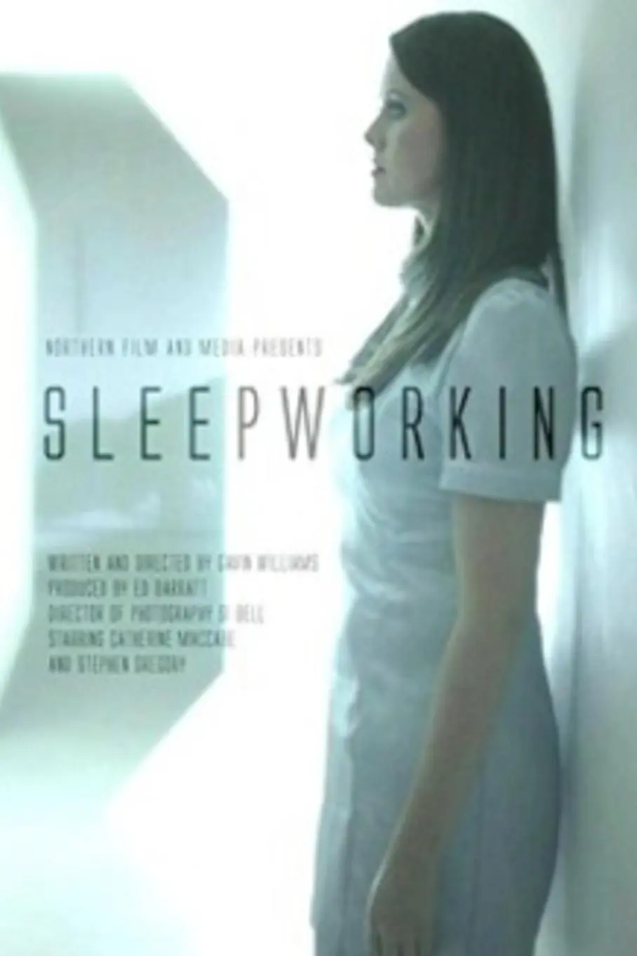 Sleepworking_peliplat