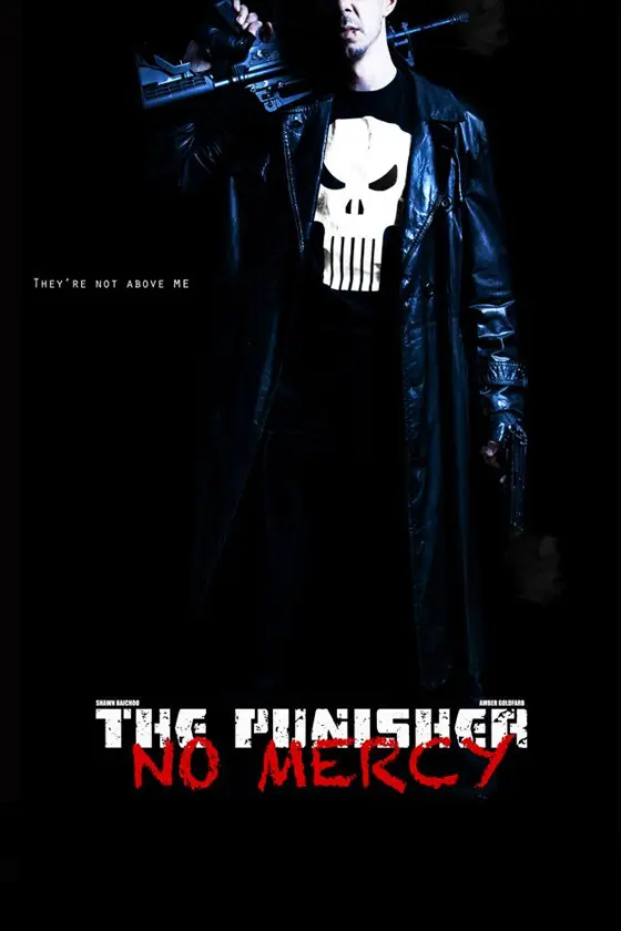 The Punisher: No Mercy_peliplat