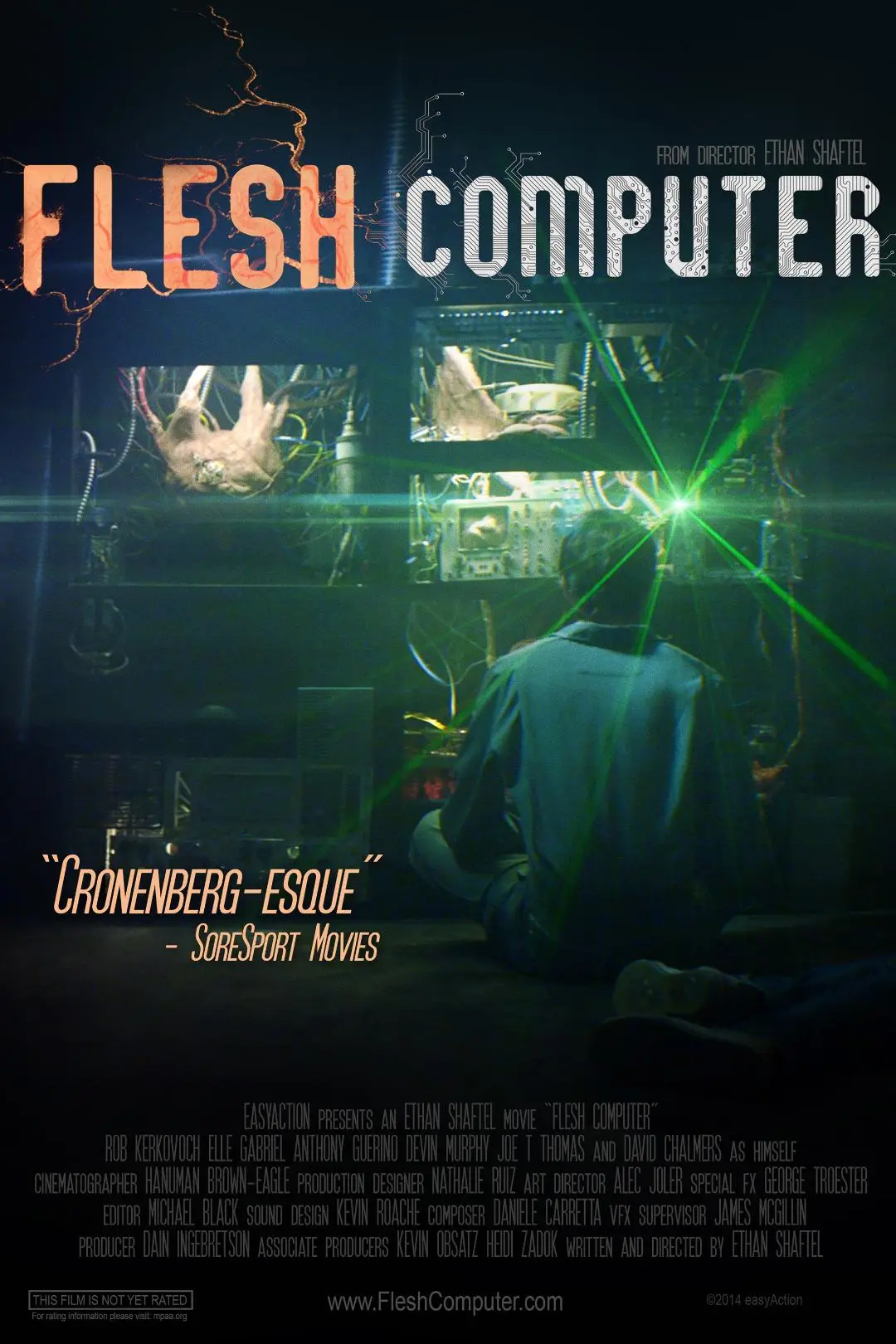 Flesh Computer_peliplat