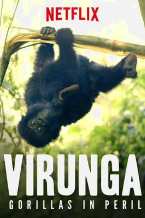 Virunga: Gorillas in Peril_peliplat