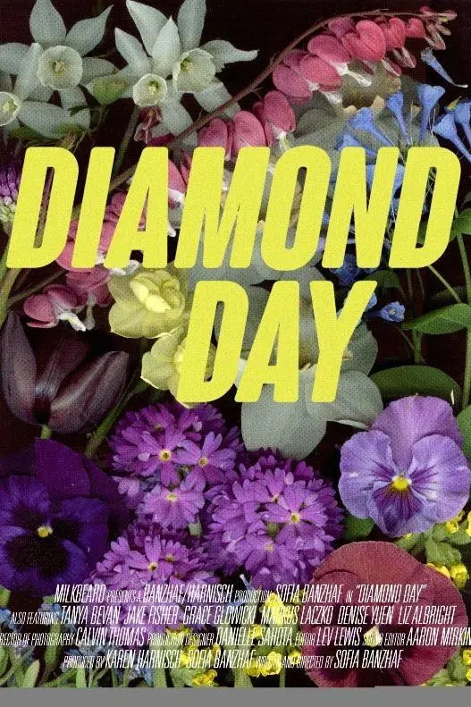 Diamond Day_peliplat