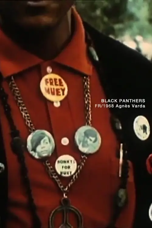 Black Panthers_peliplat