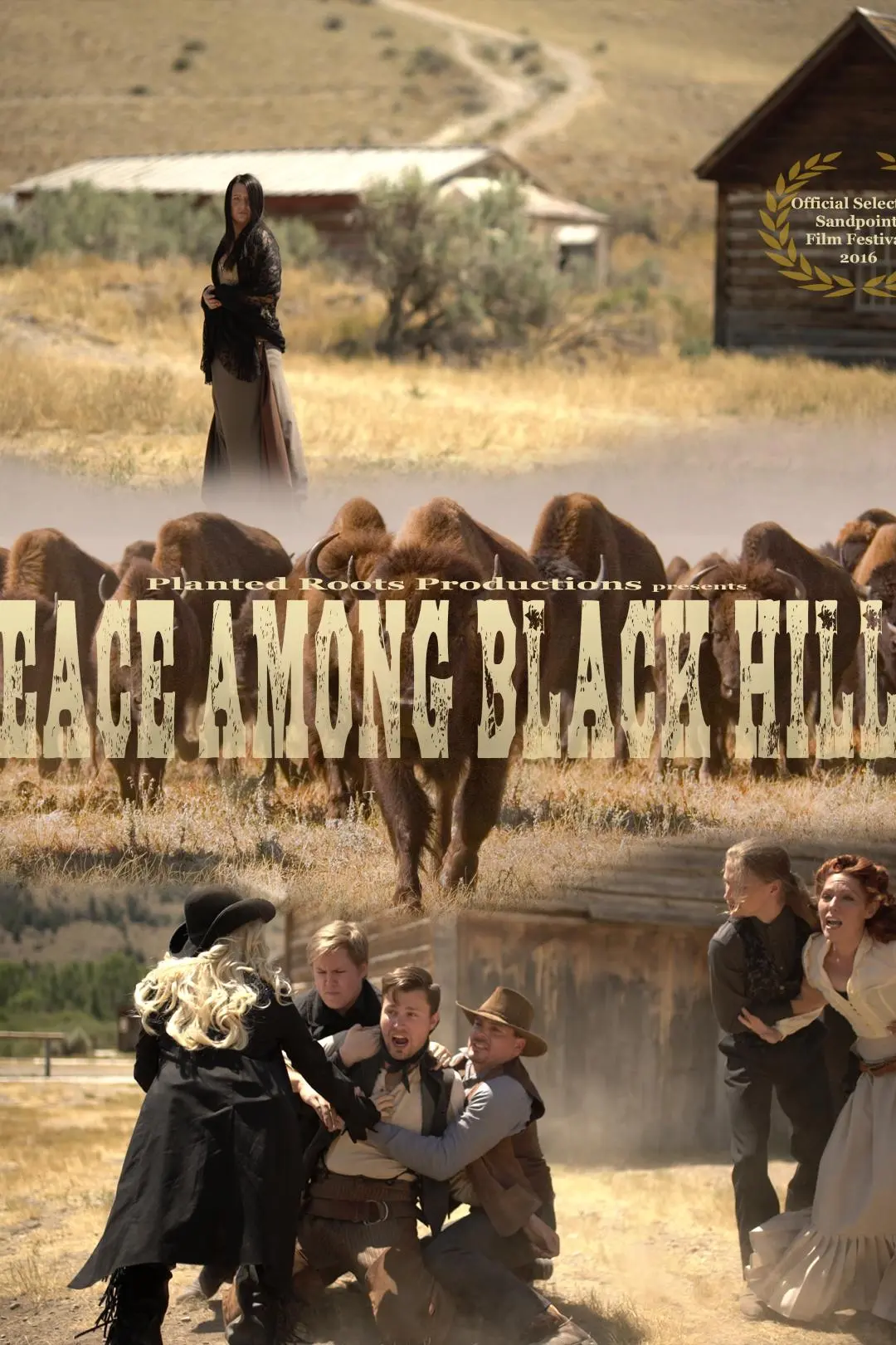 Peace Among Black Hills_peliplat