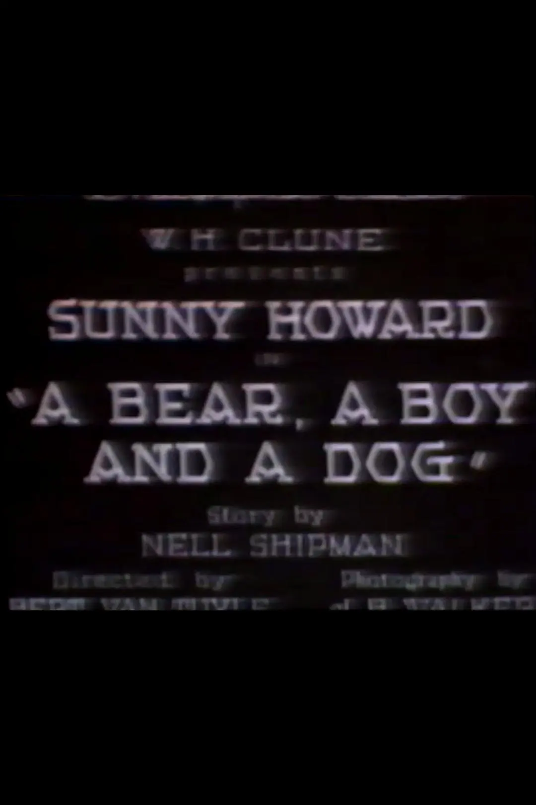 A Bear, a Boy and a Dog_peliplat
