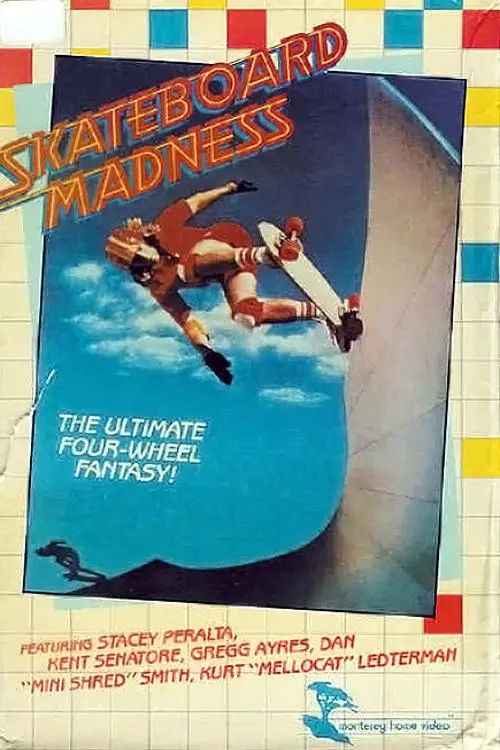 Skateboard Madness_peliplat