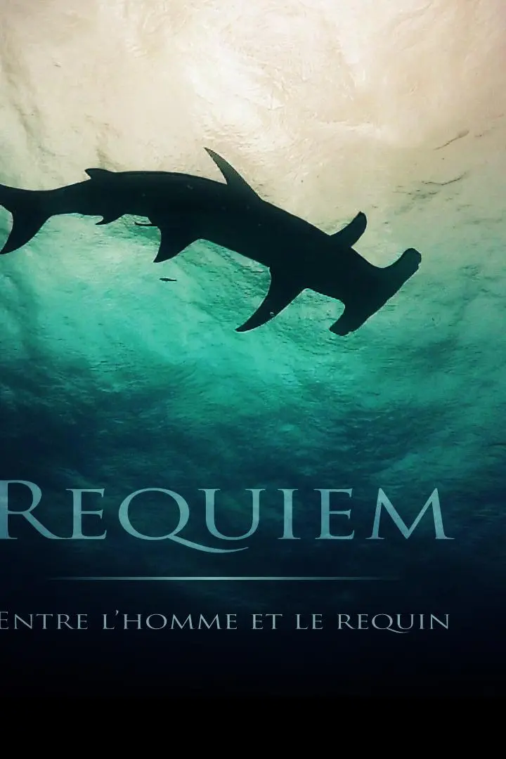 Requiem: entre l'homme et le requin_peliplat