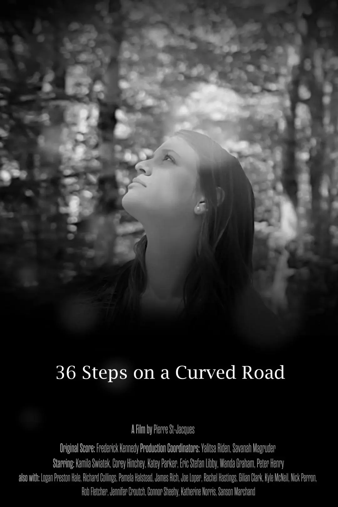 36 Steps on a Curved Road_peliplat