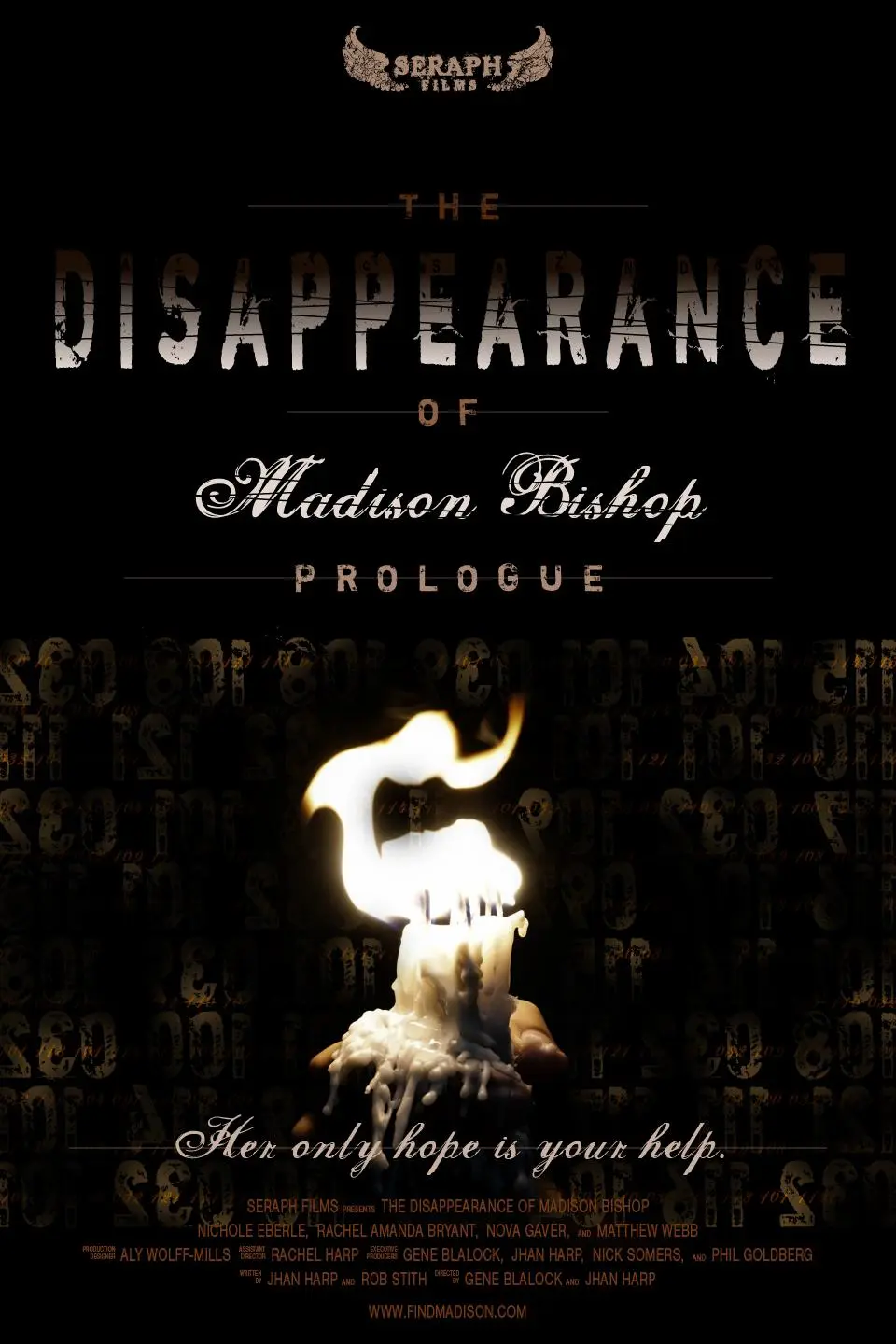 The Disappearance of Madison Bishop_peliplat