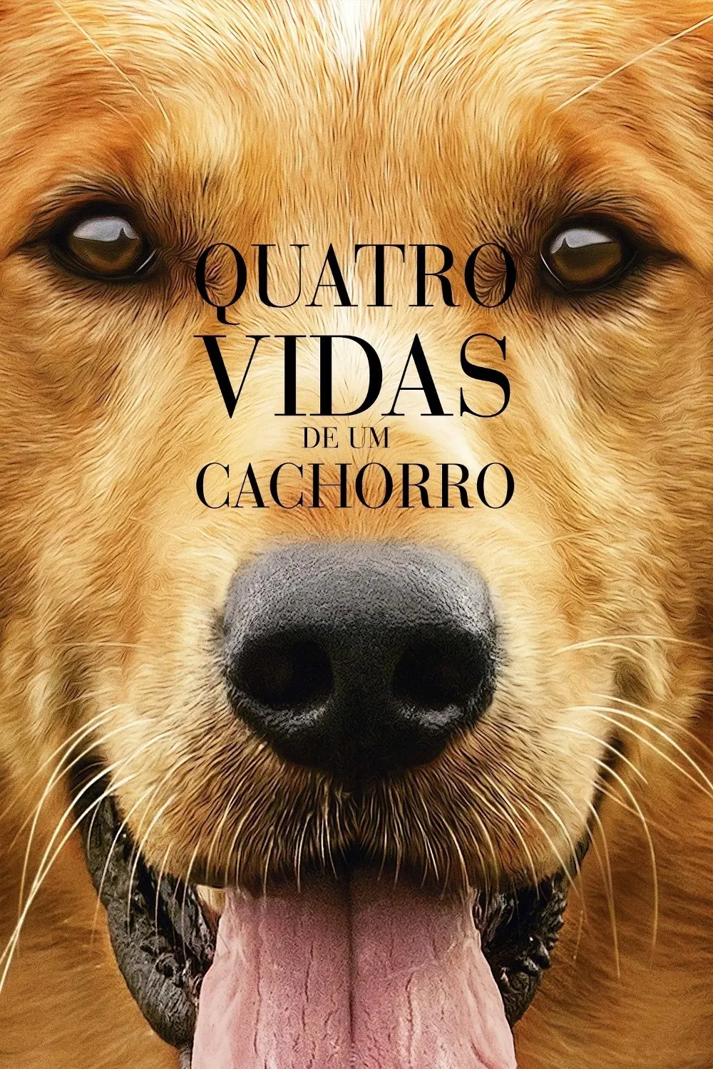 Quatro Vidas de um Cachorro_peliplat