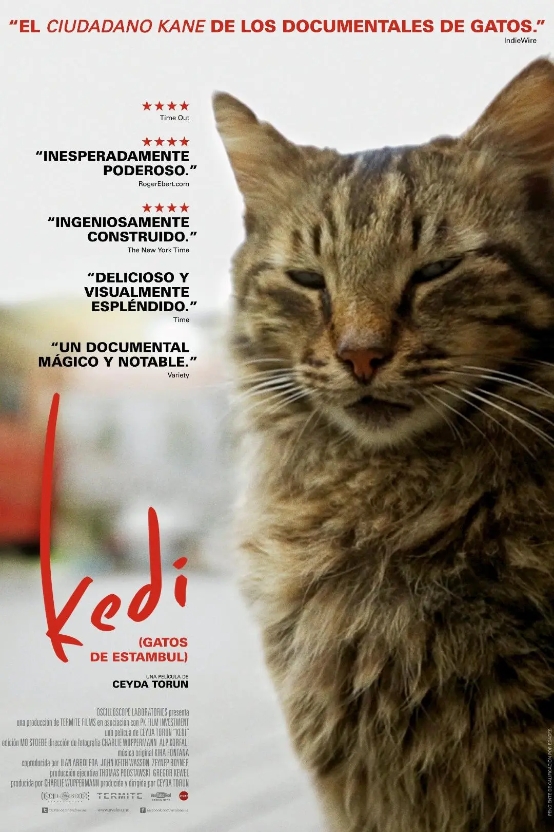 Kedi (Gatos de Estambul)_peliplat