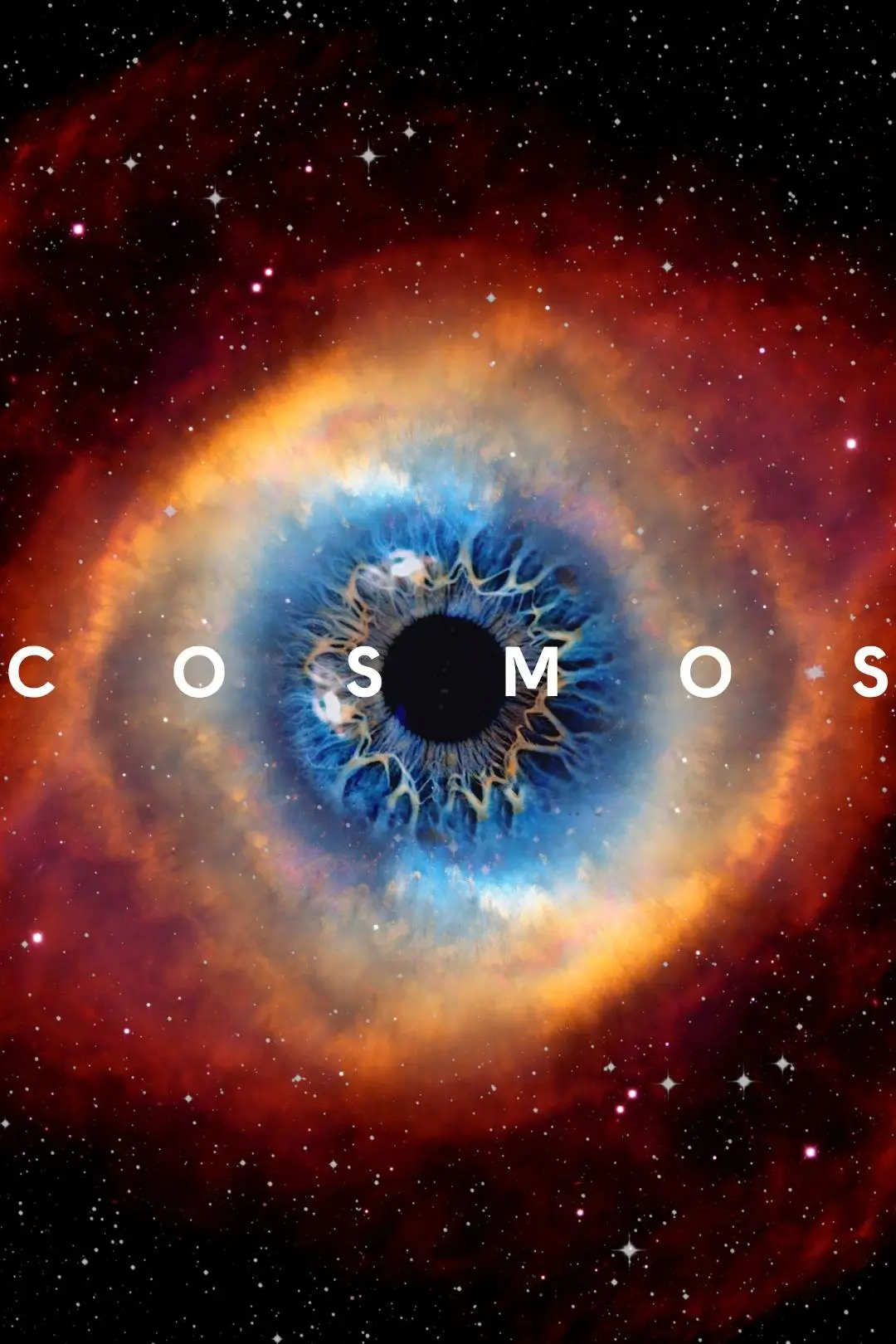 Cosmos: Uma Odisseia do Espaço-Tempo_peliplat