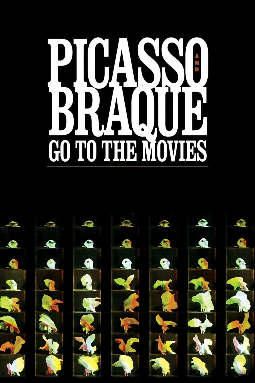 Picasso y Braque van al cine_peliplat