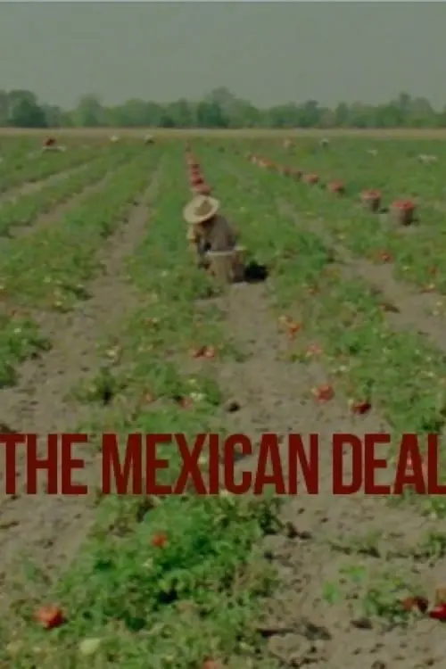 Le Deal mexicain_peliplat