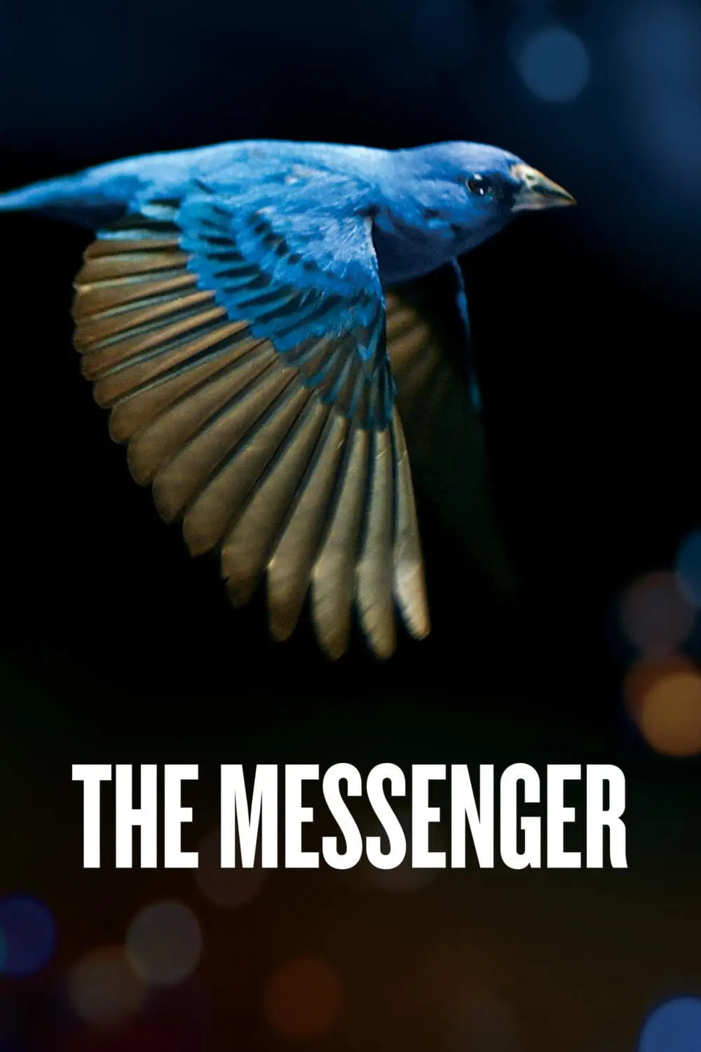 The Messenger_peliplat