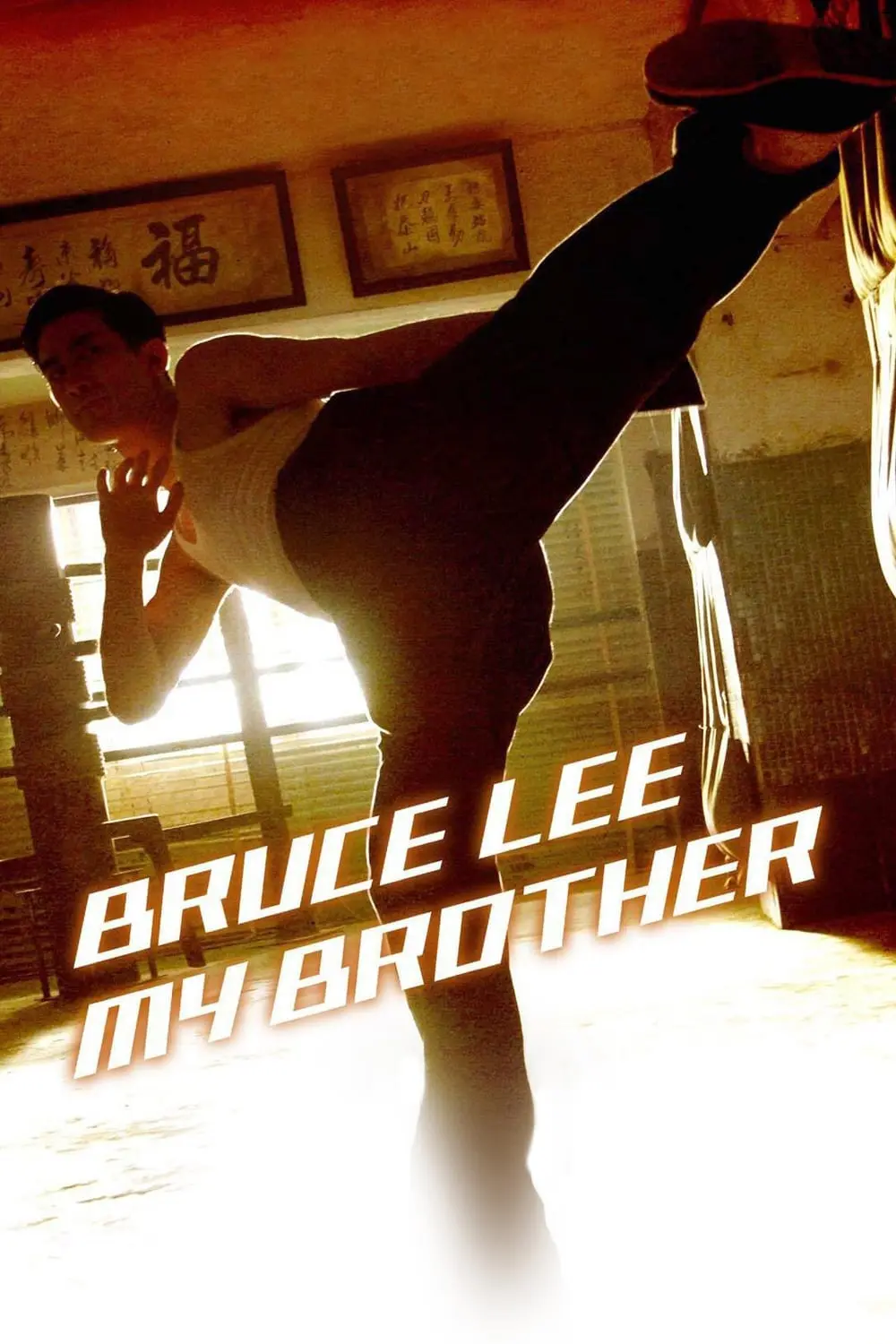 Meu Irmão Bruce Lee_peliplat