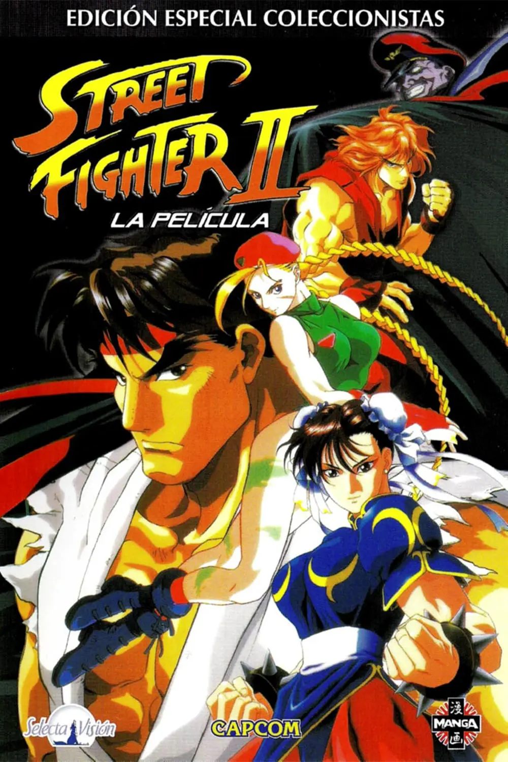 Street Fighter II: La película_peliplat