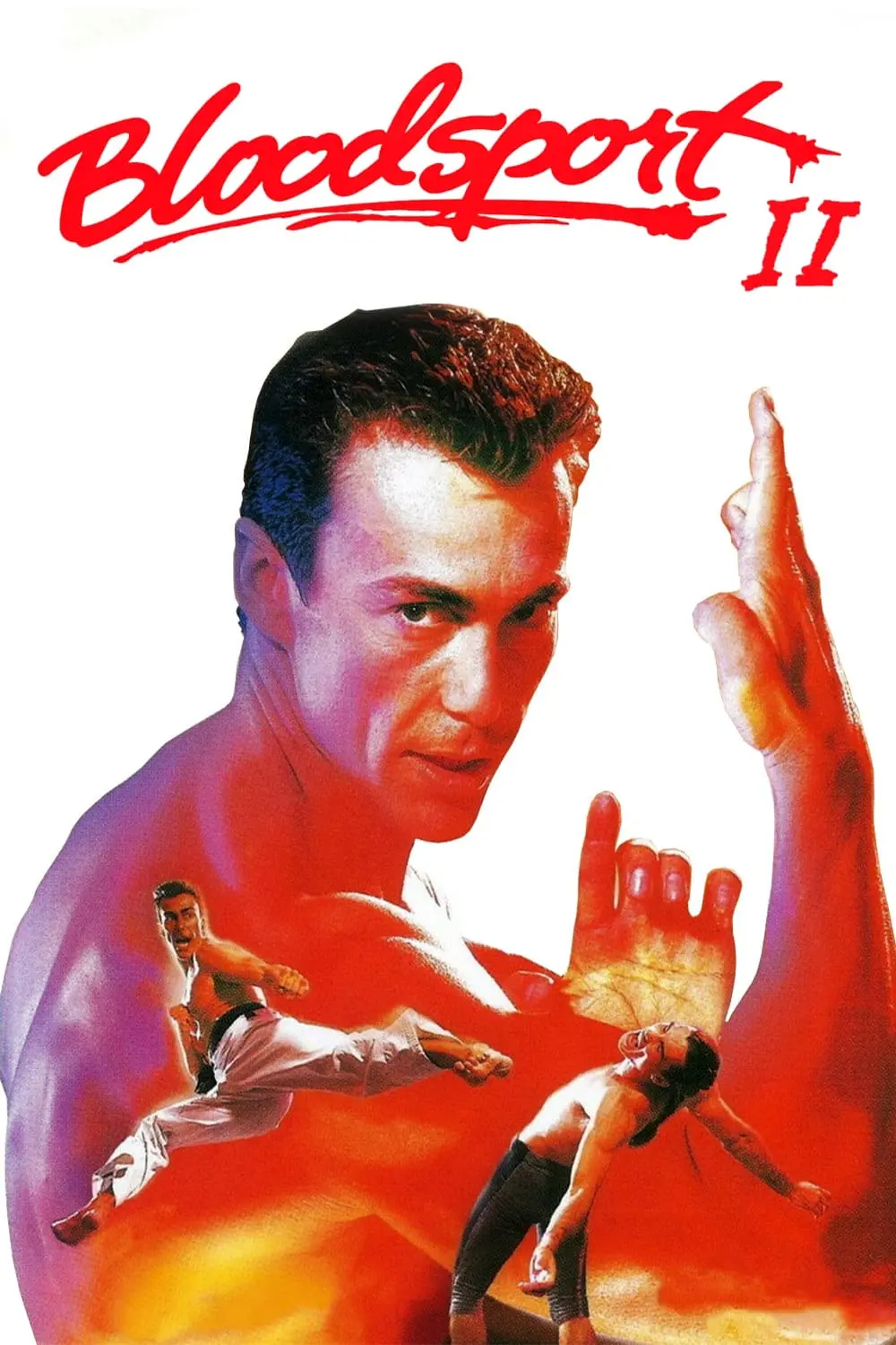 Bloodsport II: La mano de hierro_peliplat