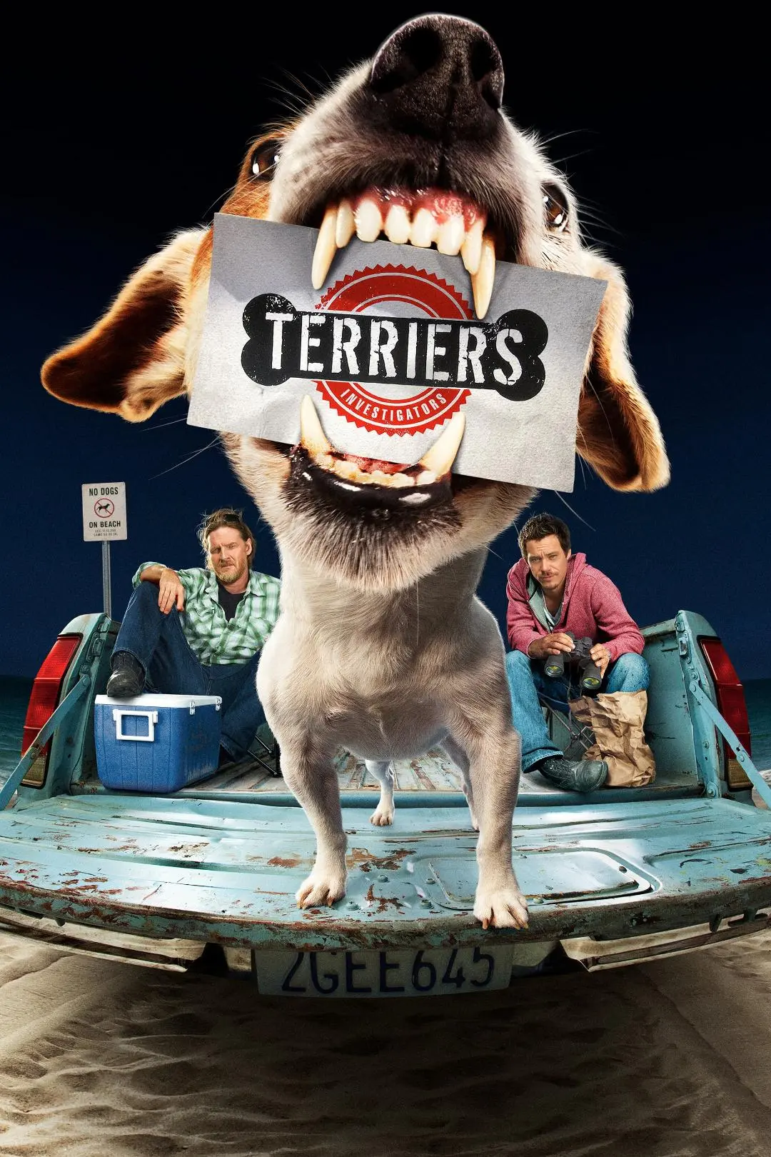 Terriers_peliplat