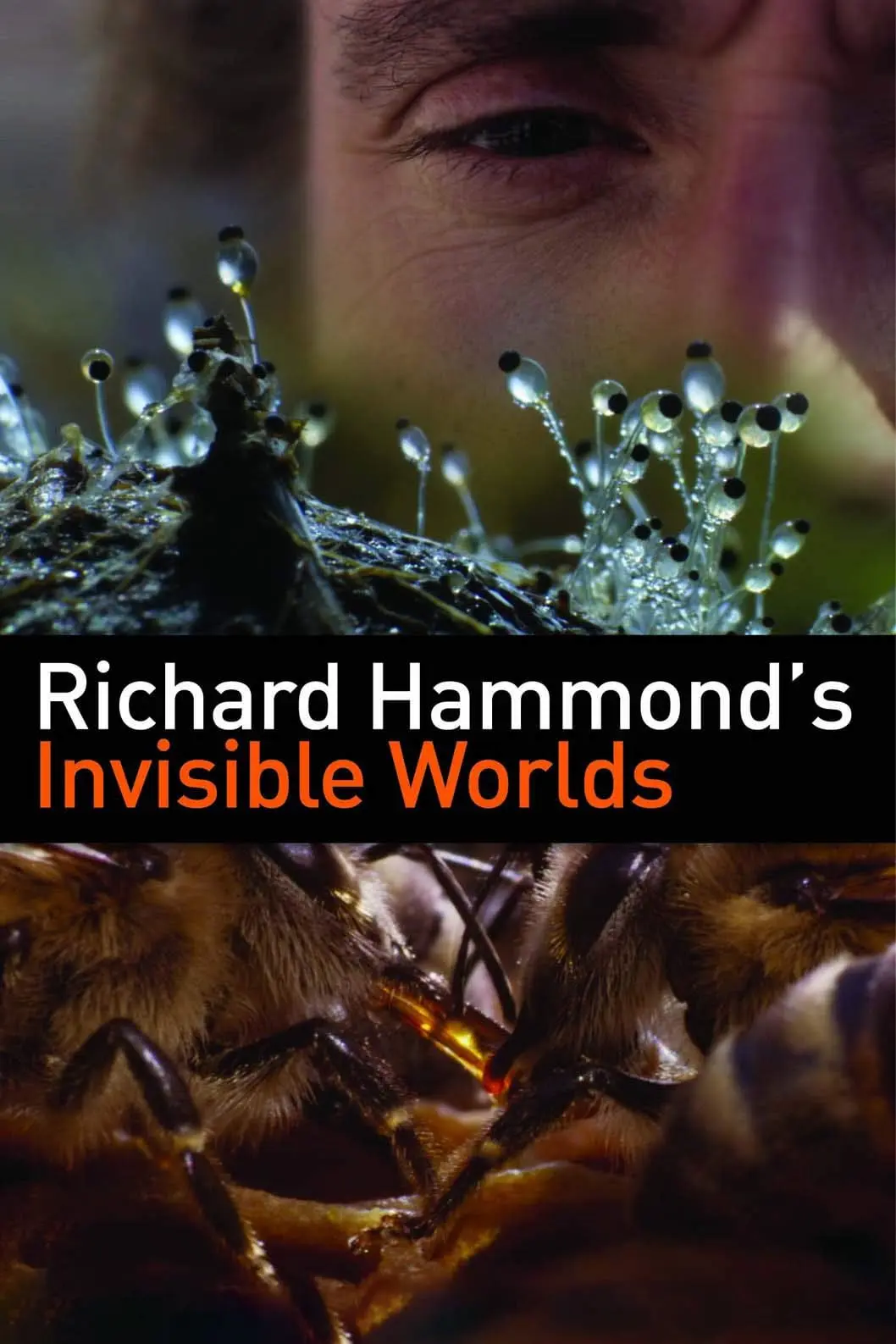 Richard Hammond's Invisible Worlds_peliplat