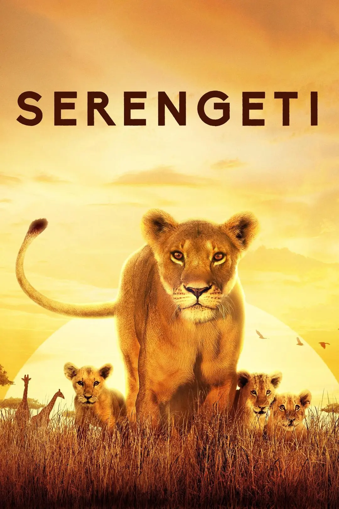 Serengeti_peliplat