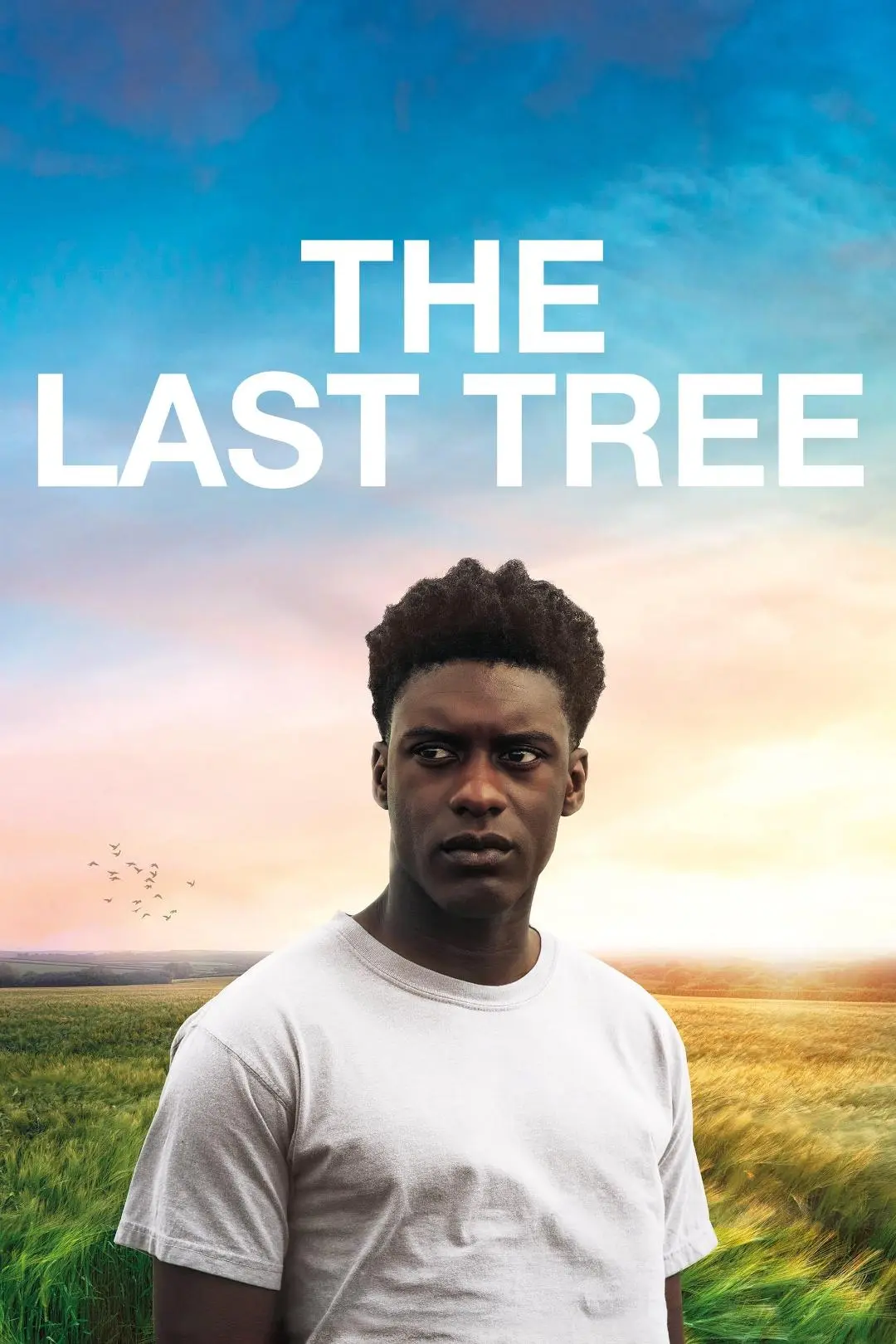 The Last Tree_peliplat