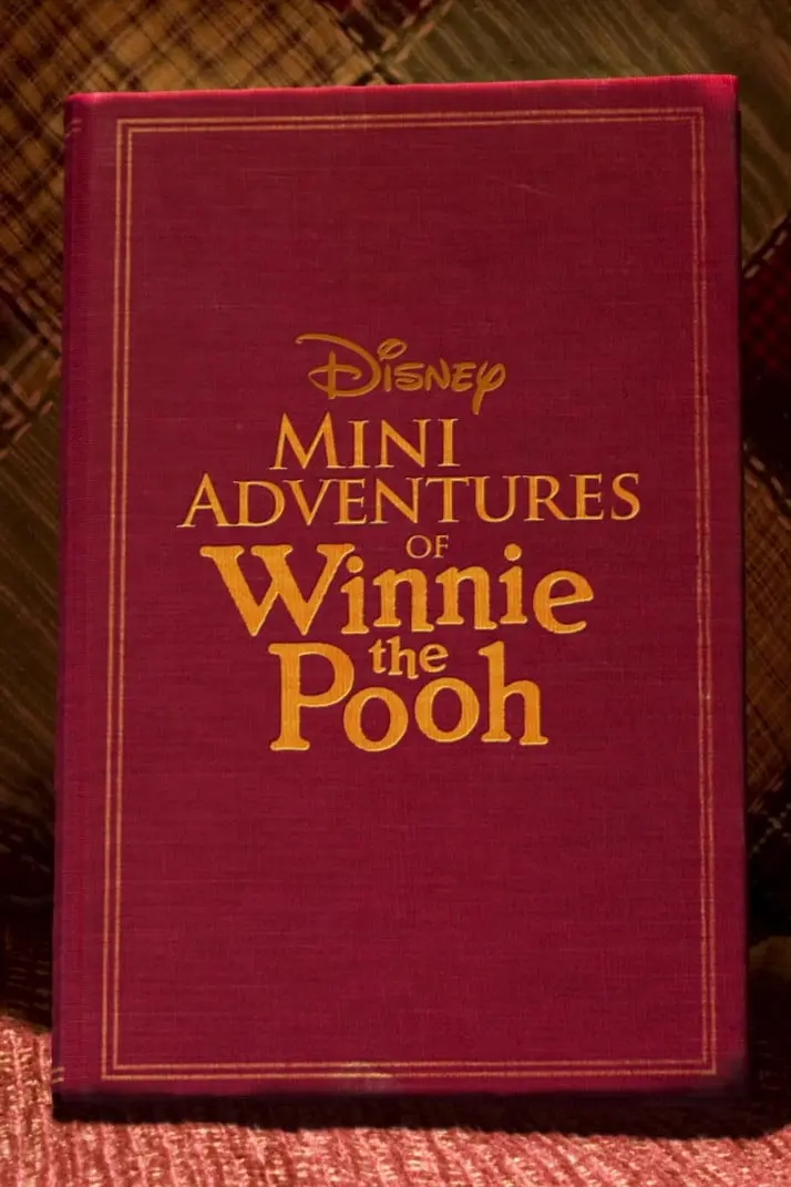 Mini Adventures of Winnie the Pooh_peliplat