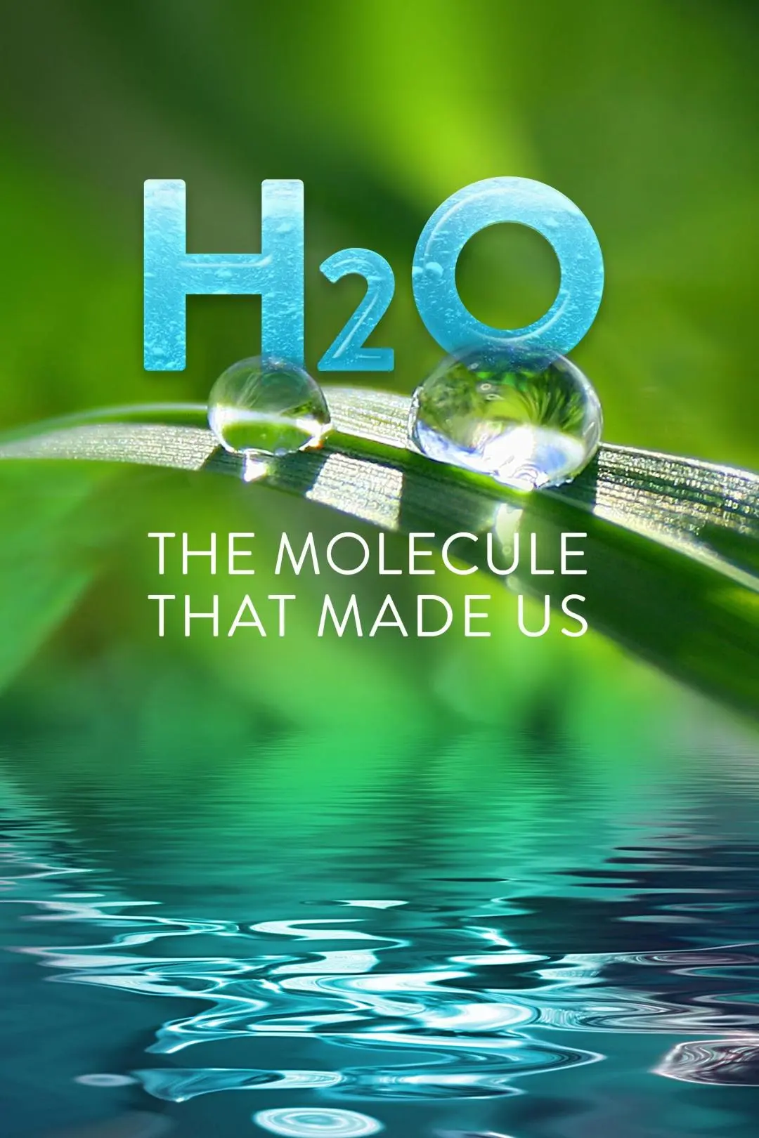 H2O: The Molecule That Made Us_peliplat