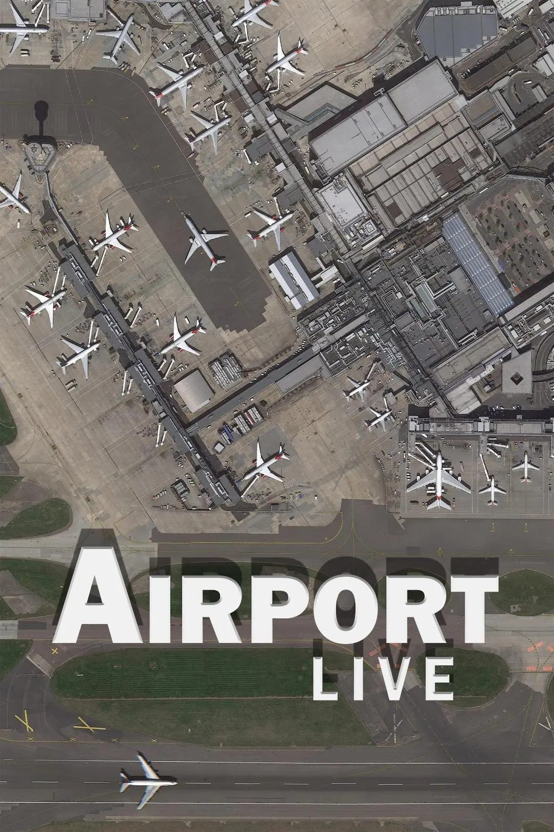 Airport Live_peliplat