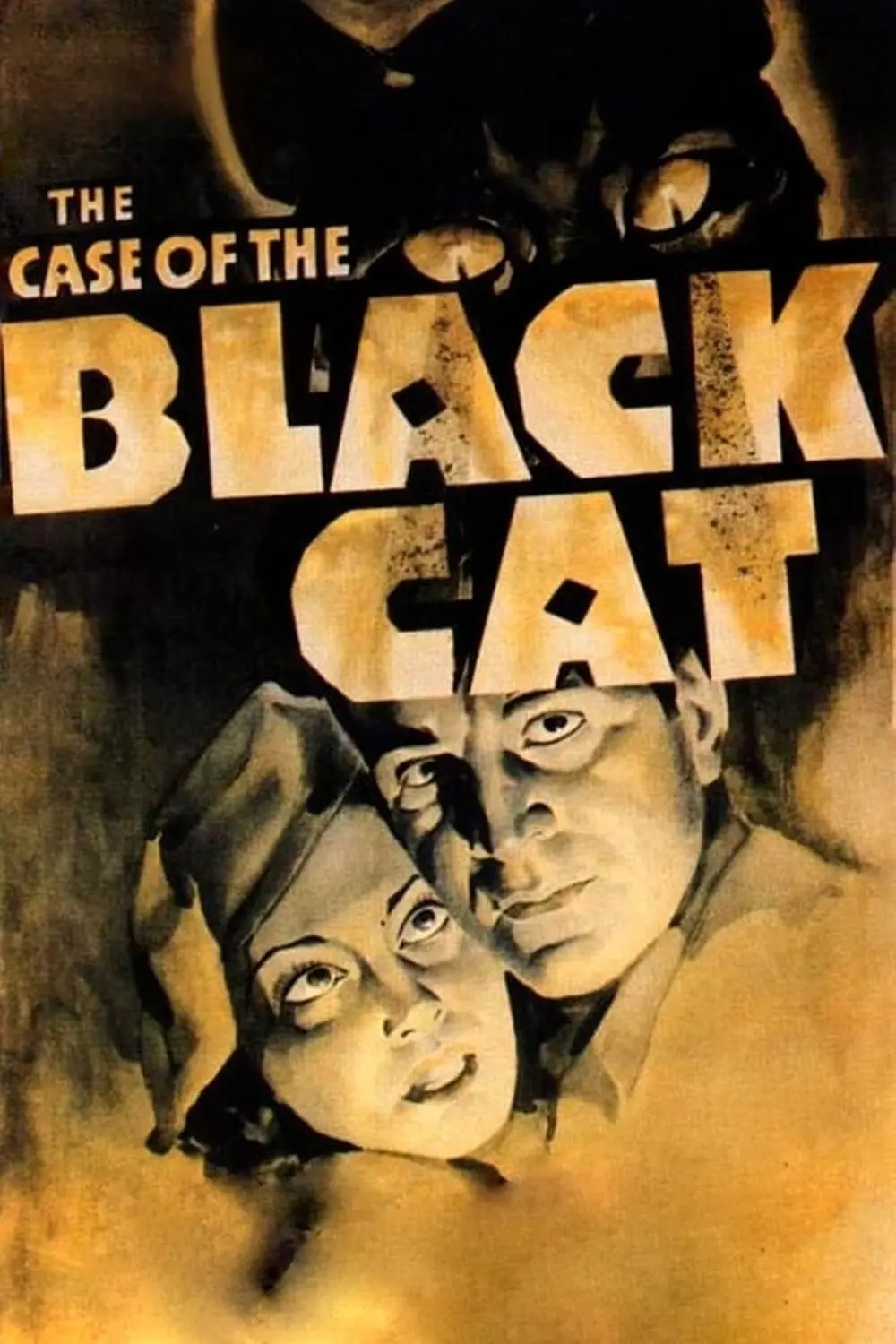 El caso del Gato Negro_peliplat