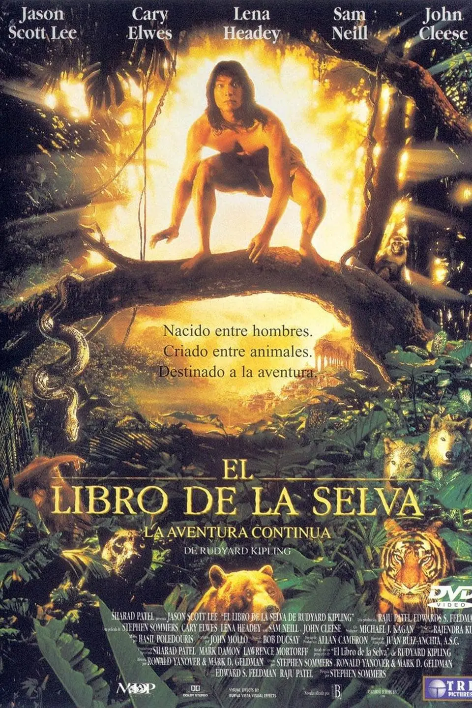 El libro de la selva - La película_peliplat