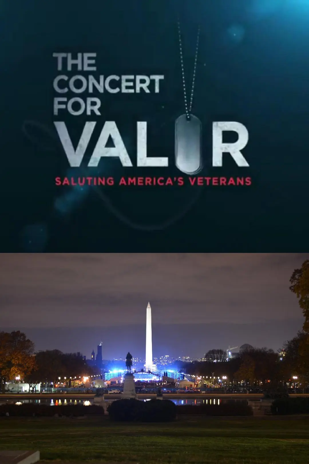 The Concert for Valor_peliplat